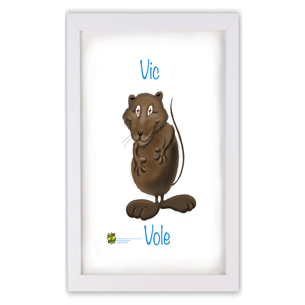vic vole frame